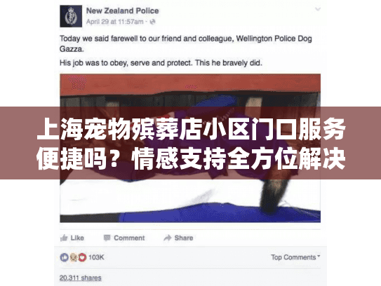 上海宠物殡葬店小区门口服务便捷吗？情感支持全方位解决方案