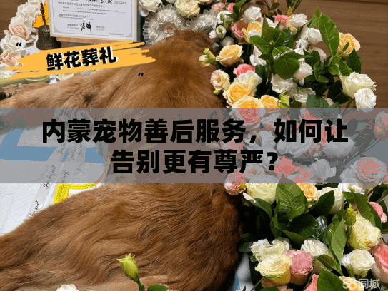 内蒙宠物善后服务，如何让告别更有尊严？