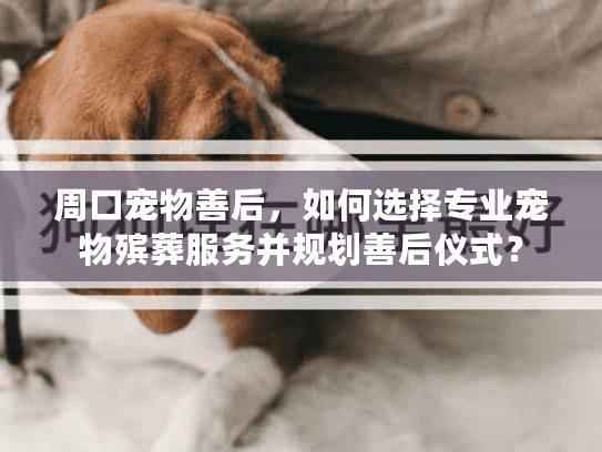 周口宠物善后，如何选择专业宠物殡葬服务并规划善后仪式？
