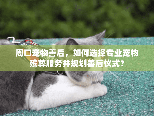 周口宠物善后，如何选择专业宠物殡葬服务并规划善后仪式？