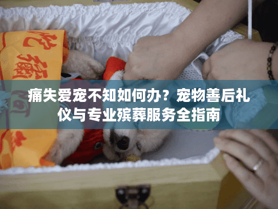 痛失爱宠不知如何办？宠物善后礼仪与专业殡葬服务全指南