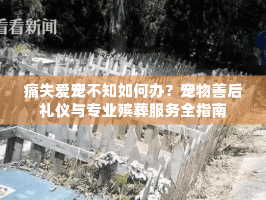 痛失爱宠不知如何办？宠物善后礼仪与专业殡葬服务全指南
