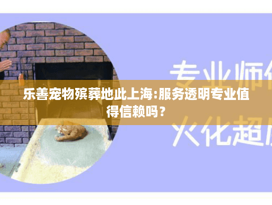 乐善宠物殡葬地此上海:服务透明专业值得信赖吗？