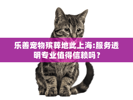 乐善宠物殡葬地此上海:服务透明专业值得信赖吗？