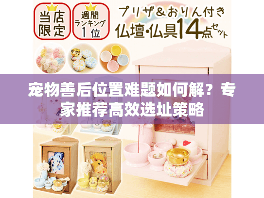宠物善后位置难题如何解？专家推荐高效选址策略