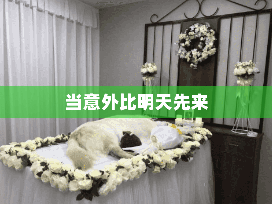 当意外比明天先来