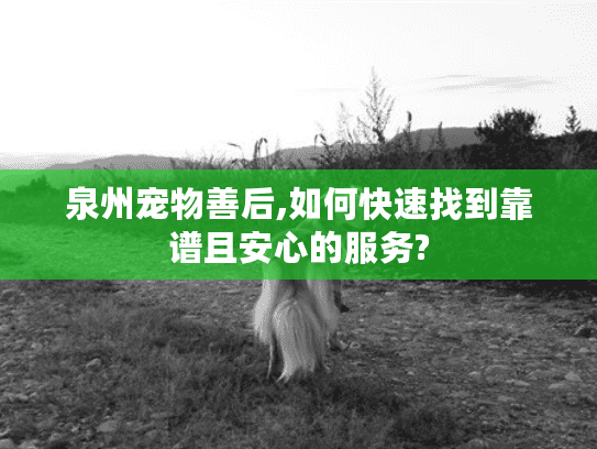 泉州宠物善后,如何快速找到靠谱且安心的服务?