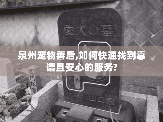 泉州宠物善后,如何快速找到靠谱且安心的服务?