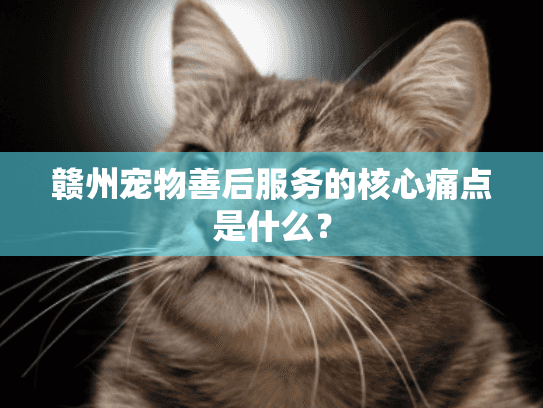 赣州宠物善后服务的核心痛点是什么？