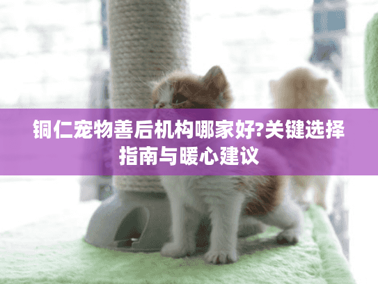 铜仁宠物善后机构哪家好?关键选择指南与暖心建议