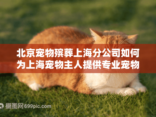 北京宠物殡葬上海分公司如何为上海宠物主人提供专业宠物火化服务？
