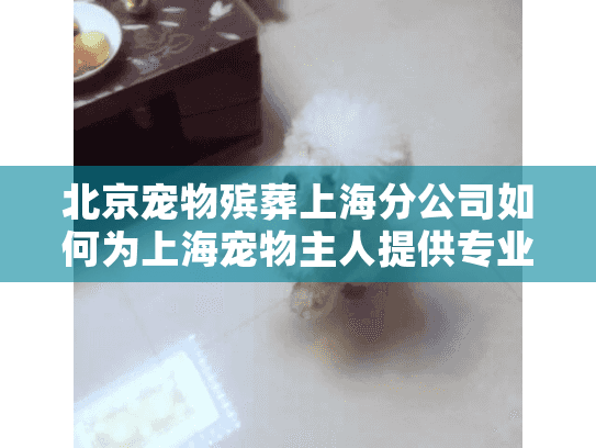 北京宠物殡葬上海分公司如何为上海宠物主人提供专业宠物火化服务？
