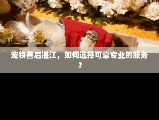 宠物善后湛江，如何选择可靠专业的服务？