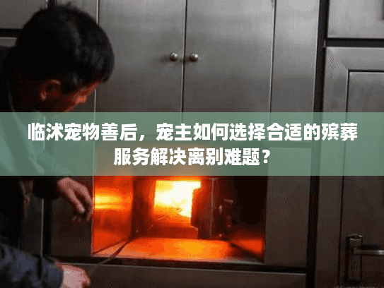 临沭宠物善后，宠主如何选择合适的殡葬服务解决离别难题？
