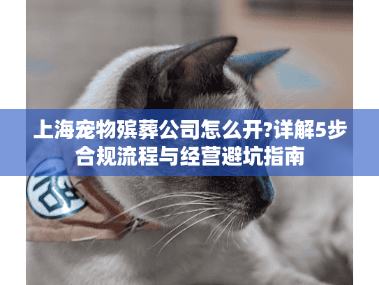 上海宠物殡葬公司怎么开?详解5步合规流程与经营避坑指南