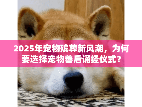 2025年宠物殡葬新风潮，为何要选择宠物善后诵经仪式？