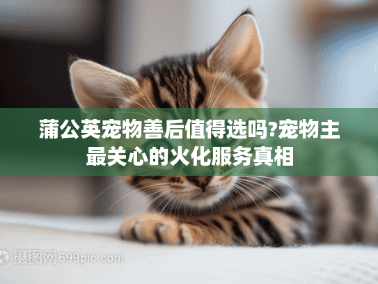 蒲公英宠物善后值得选吗?宠物主最关心的火化服务真相