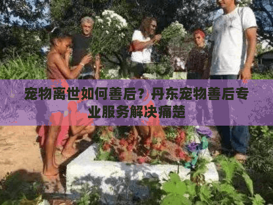 宠物离世如何善后？丹东宠物善后专业服务解决痛楚