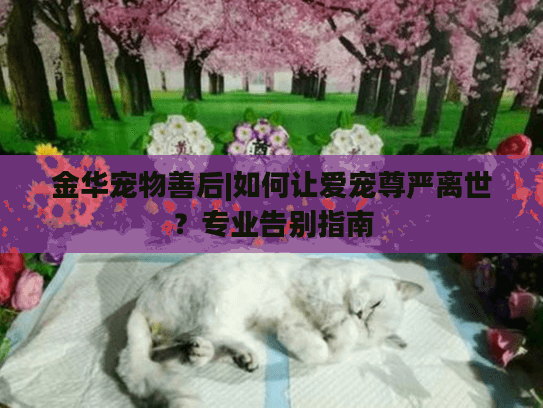 金华宠物善后|如何让爱宠尊严离世？专业告别指南