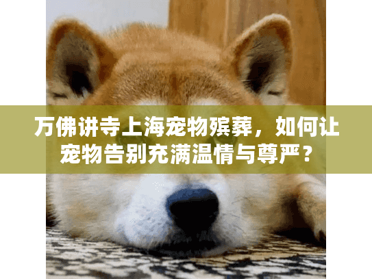 万佛讲寺上海宠物殡葬，如何让宠物告别充满温情与尊严？