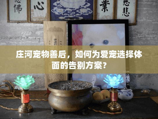 庄河宠物善后，如何为爱宠选择体面的告别方案？