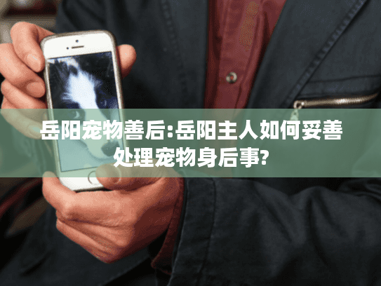 岳阳宠物善后:岳阳主人如何妥善处理宠物身后事?