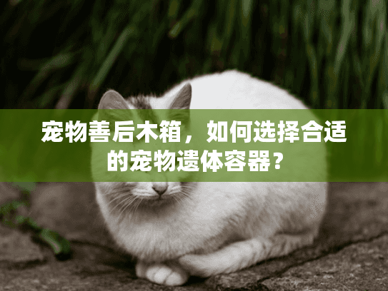 宠物善后木箱，如何选择合适的宠物遗体容器？