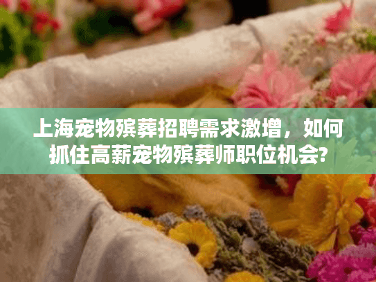 上海宠物殡葬招聘需求激增，如何抓住高薪宠物殡葬师职位机会?