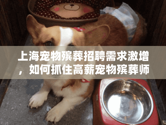 上海宠物殡葬招聘需求激增，如何抓住高薪宠物殡葬师职位机会?