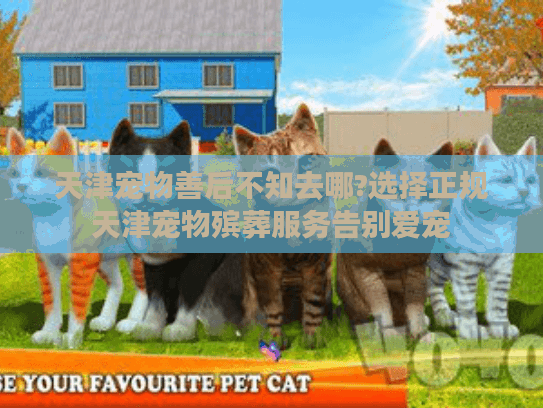 天津宠物善后不知去哪?选择正规天津宠物殡葬服务告别爱宠