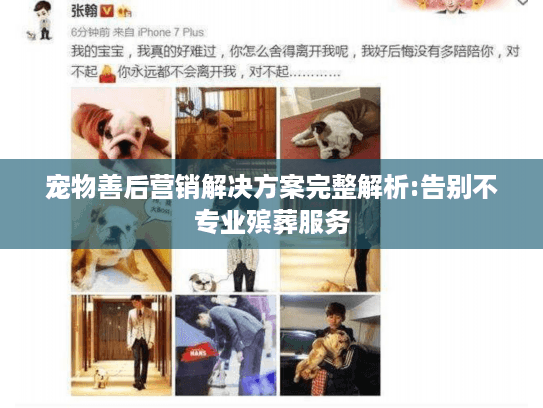 宠物善后营销解决方案完整解析:告别不专业殡葬服务