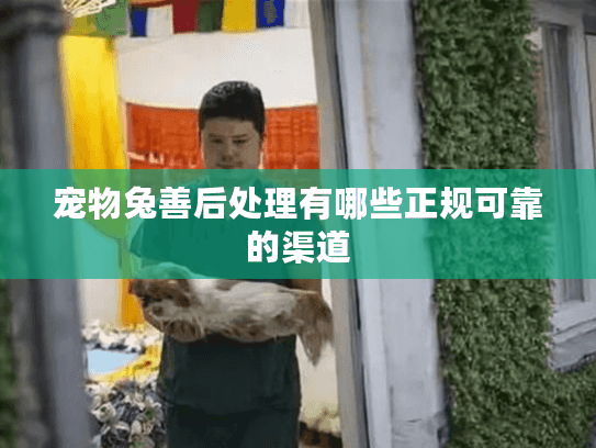 宠物兔善后处理有哪些正规可靠的渠道