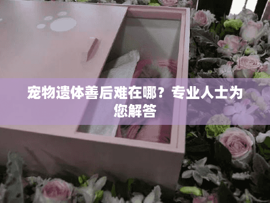 宠物遗体善后难在哪？专业人士为您解答