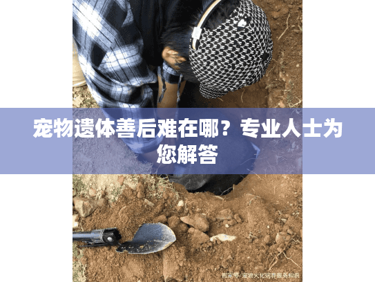 宠物遗体善后难在哪？专业人士为您解答