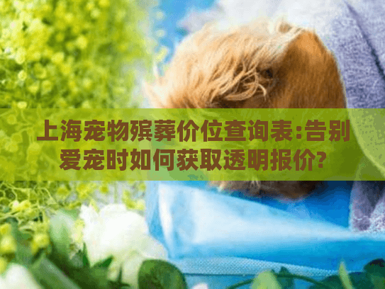 上海宠物殡葬价位查询表:告别爱宠时如何获取透明报价?