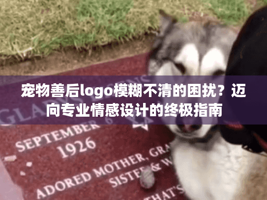 宠物善后logo模糊不清的困扰？迈向专业情感设计的终极指南