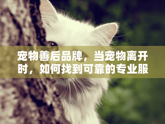 宠物善后品牌，当宠物离开时，如何找到可靠的专业服务？
