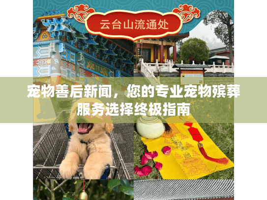 宠物善后新闻，您的专业宠物殡葬服务选择终极指南