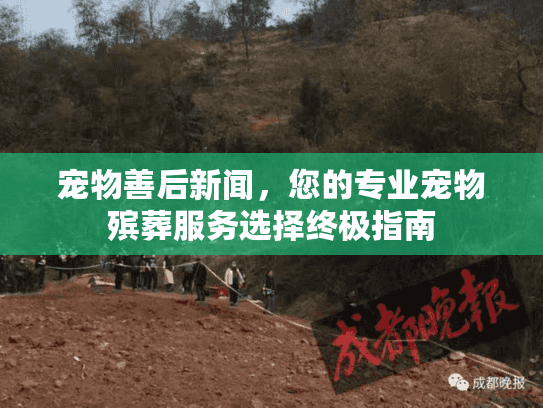 宠物善后新闻，您的专业宠物殡葬服务选择终极指南