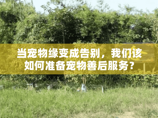 当宠物缘变成告别,我们该如何准备宠物善后服务? 当宠物缘变成告别,我们该如何准备宠物善后服务?
