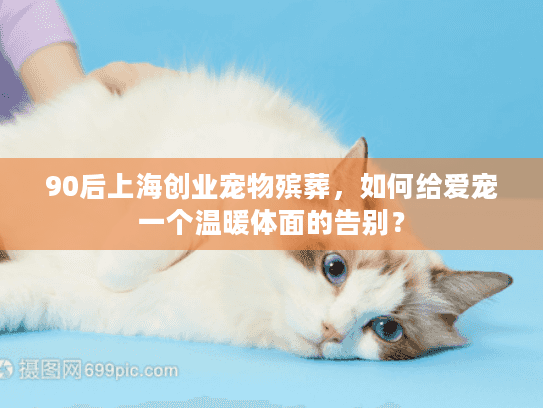 90后上海创业宠物殡葬，如何给爱宠一个温暖体面的告别？