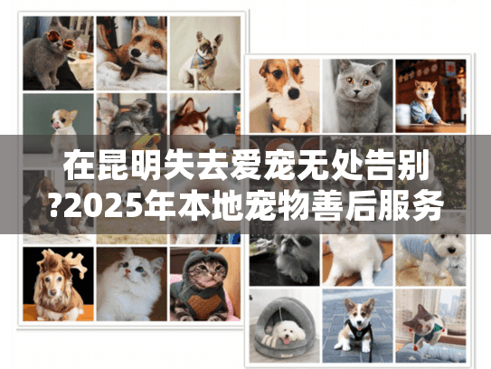 在昆明失去爱宠无处告别?2025年本地宠物善后服务机构真实测评