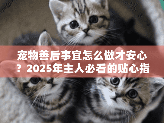 宠物善后事宜怎么做才安心？2025年主人必看的贴心指南