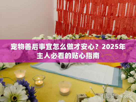 宠物善后事宜怎么做才安心？2025年主人必看的贴心指南