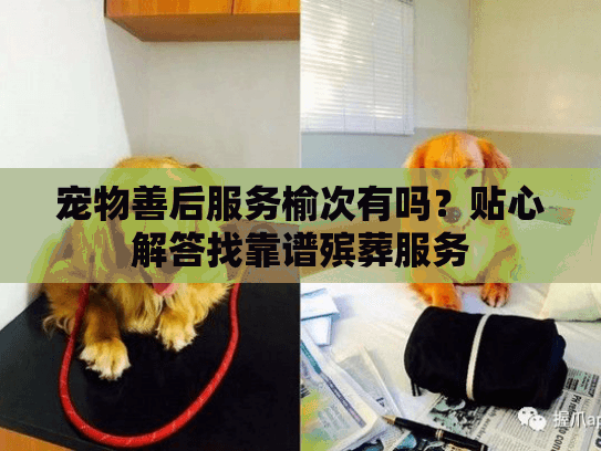 宠物善后服务榆次有吗？贴心解答找靠谱殡葬服务