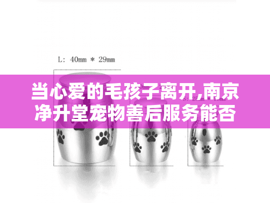 当心爱的毛孩子离开,南京净升堂宠物善后服务能否守护最后的体面?