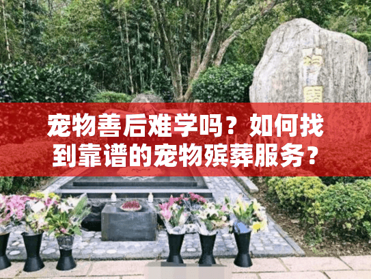 宠物善后难学吗？如何找到靠谱的宠物殡葬服务？