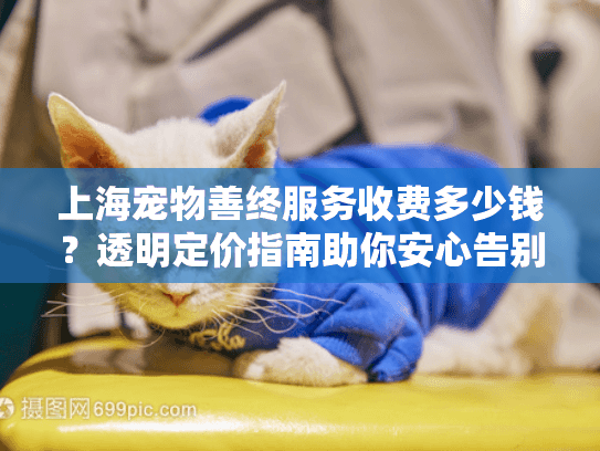 上海宠物善终服务收费多少钱？透明定价指南助你安心告别