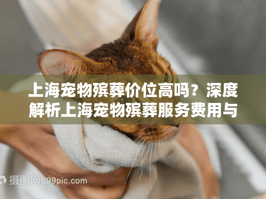 上海宠物殡葬价位高吗？深度解析上海宠物殡葬服务费用与省钱攻略