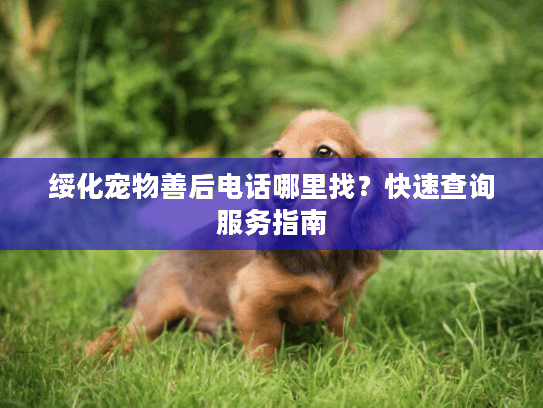 绥化宠物善后电话哪里找？快速查询服务指南
